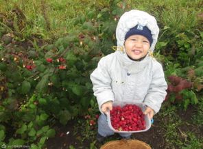 Чтобы не болеть, я даже поздней осенью кушаю малину у бабушки на огороде!