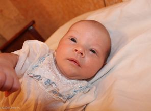 IMG_6380