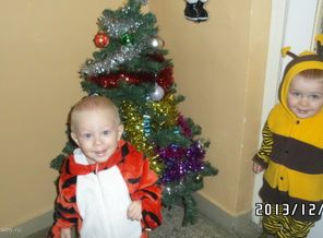 SAM_2031