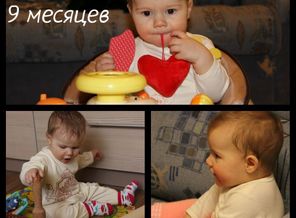 9 мес