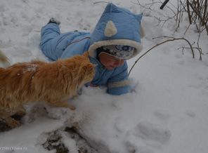 Кот спешит мне на помощь