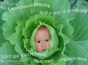 e7fe39a21e93