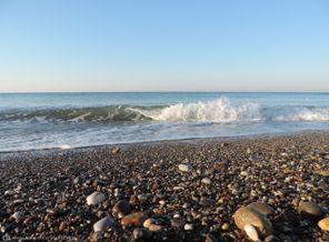 DSCN0498