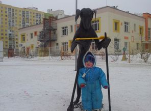 памятник "Чистый двор.Чистая совесть"