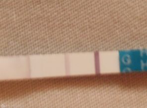 RSCN0635