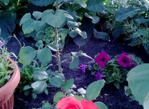 WP_20140610_001