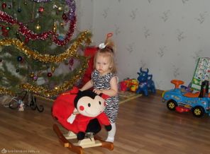 SAM_0460