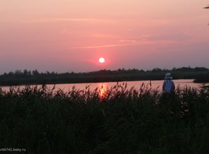 IMG_0875