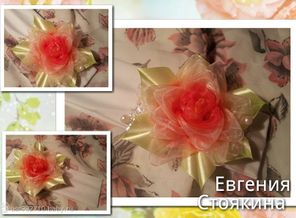 7cb1bd62-6e70-4ba8-92bc-fe56fa609f52
