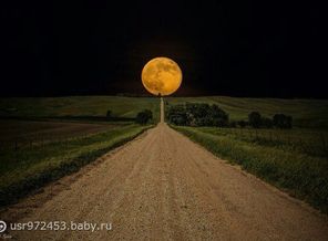 image1408429493.923290