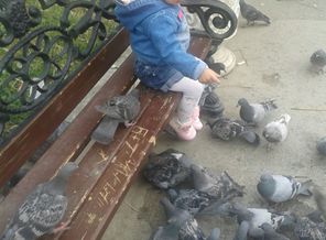 IMG-20140925-WA0002
