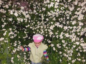 DSCN1972