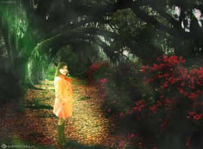 Rhododendrons_and_Live_Oaks_Magnolia_Plantation_Charleston_South_Carolina_1440x1080