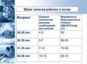 p-0547cbd2806a8a.f