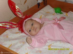 мой зайчик